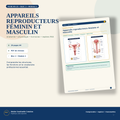 Support IFAS M3-23 — Appareils reproducteurs féminin et masculin