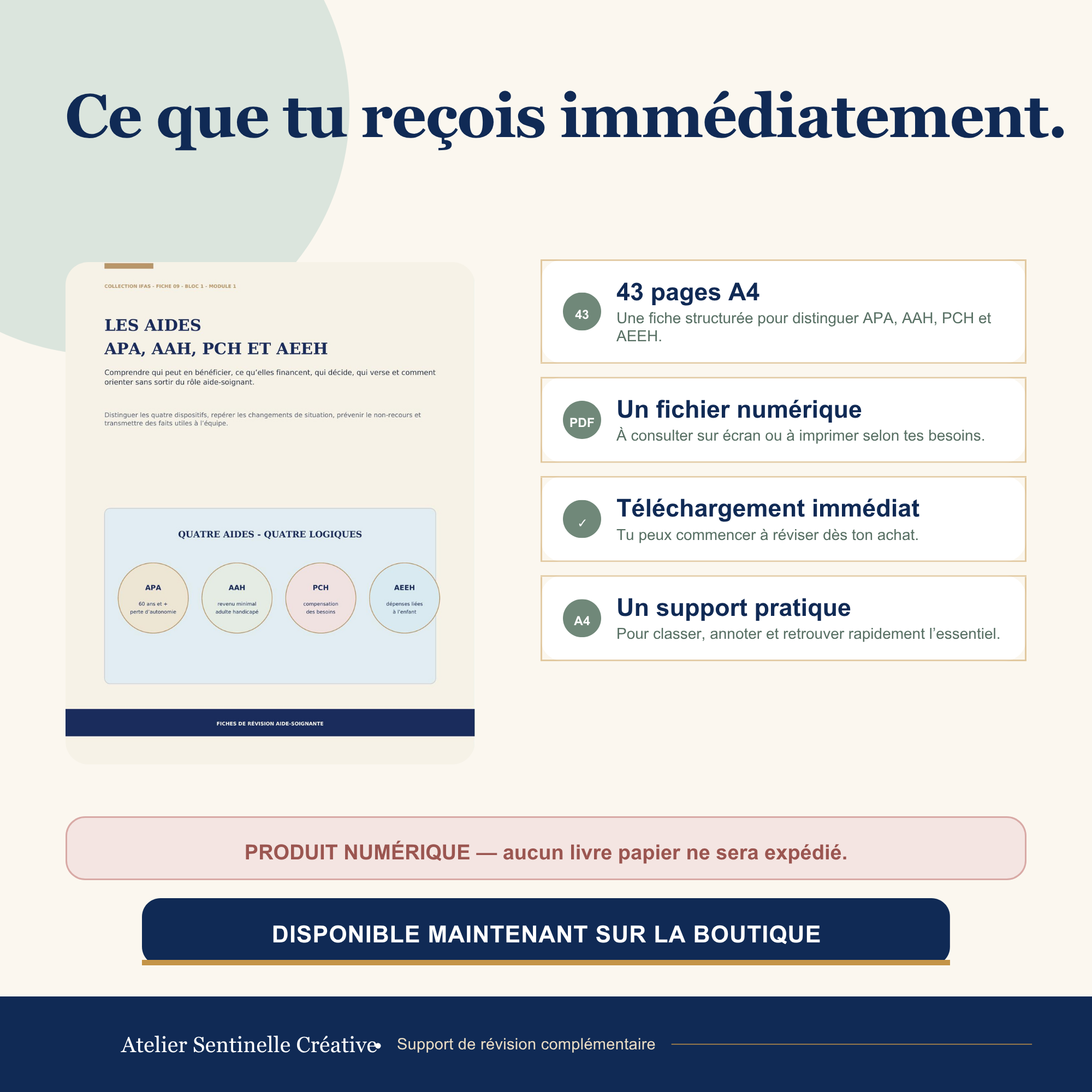 Fiche de révision IFAS : réception immédiate, fichier numérique, téléchargement et support pratique