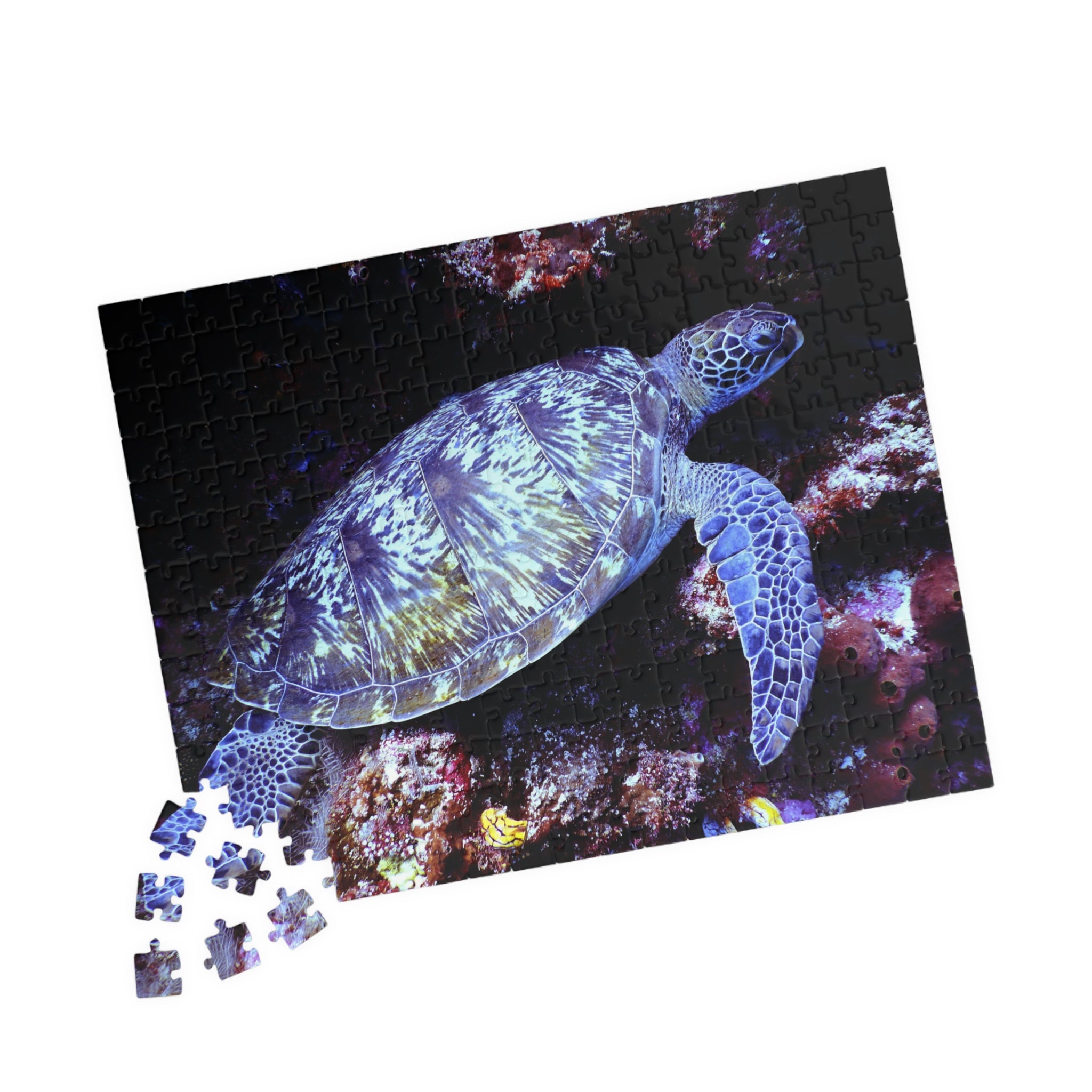 Puzzle tortue marine bleu-violet, tortue sur récif, quelques pièces détachées