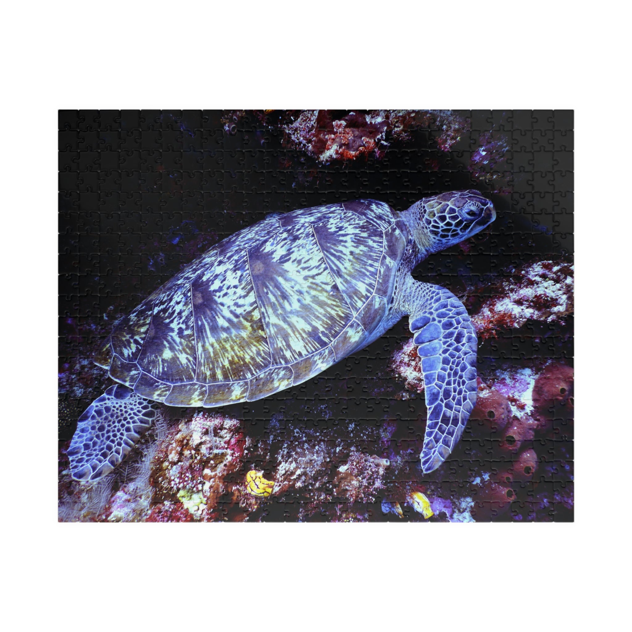 Puzzle tortue marine bleu-violet sur motif corail, contour des pièces noires