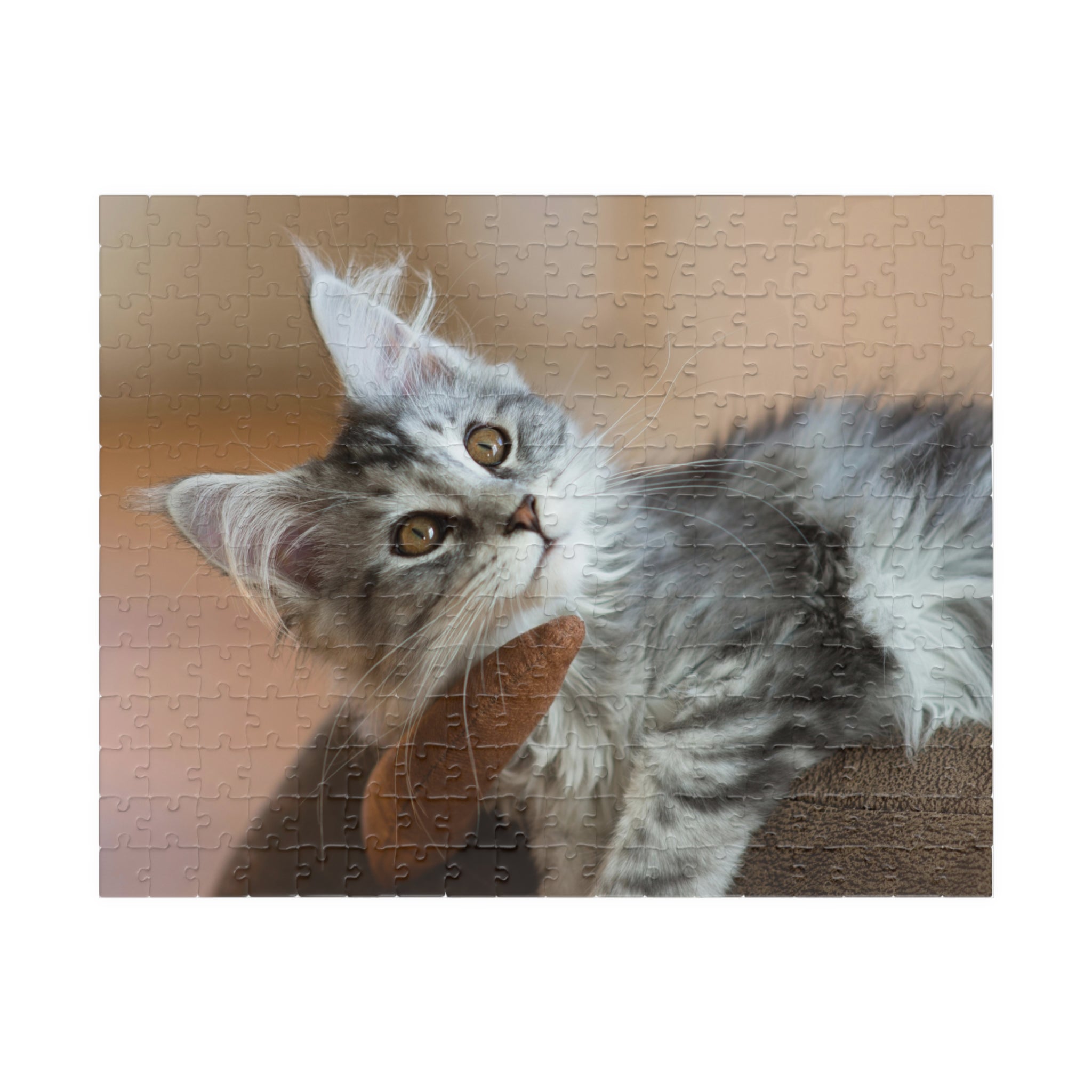 Puzzle en carton représentant deux chats gris avec une patte levée et de longs poils