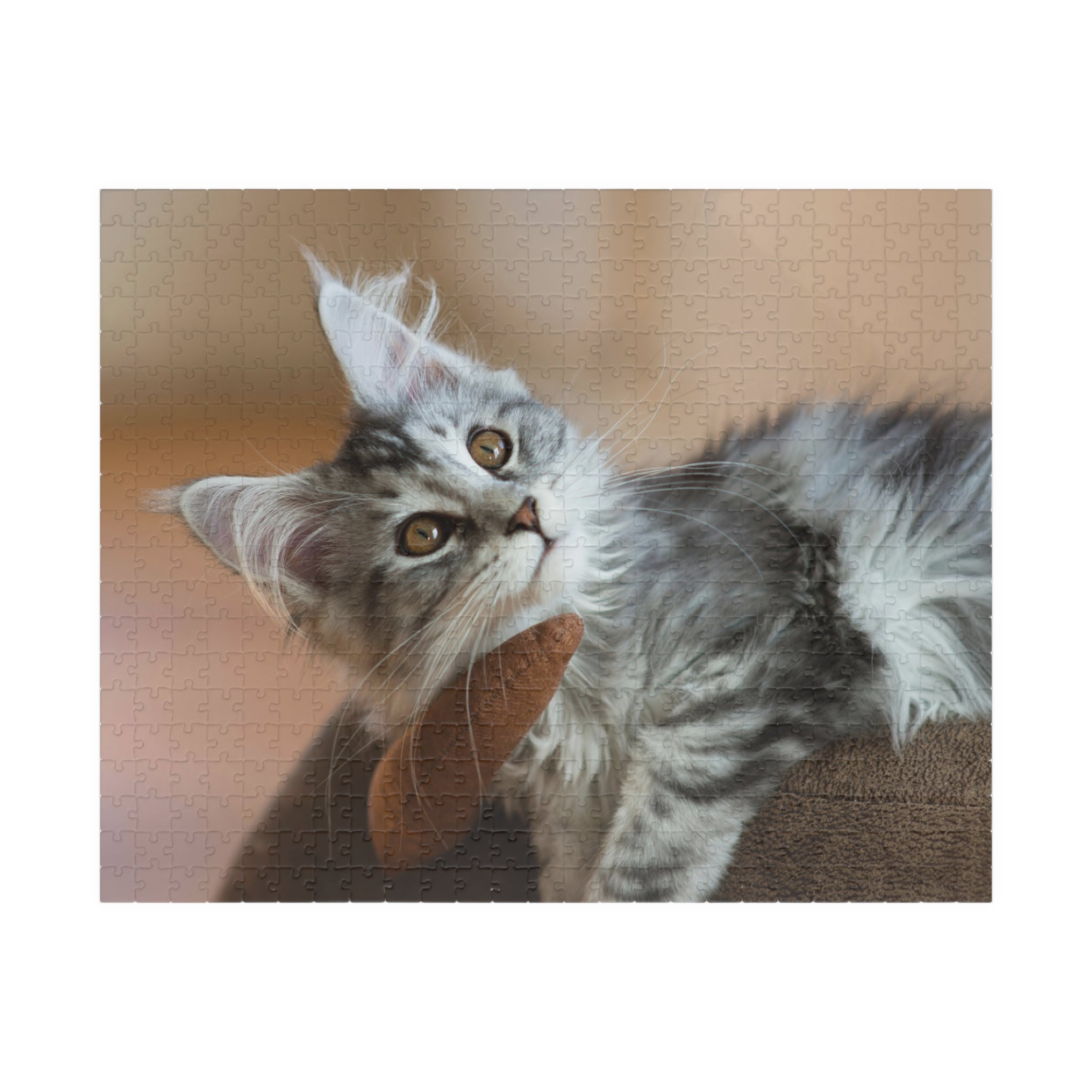 Puzzle en carton de deux chats gris, tête contre tête, avec pièces assemblées