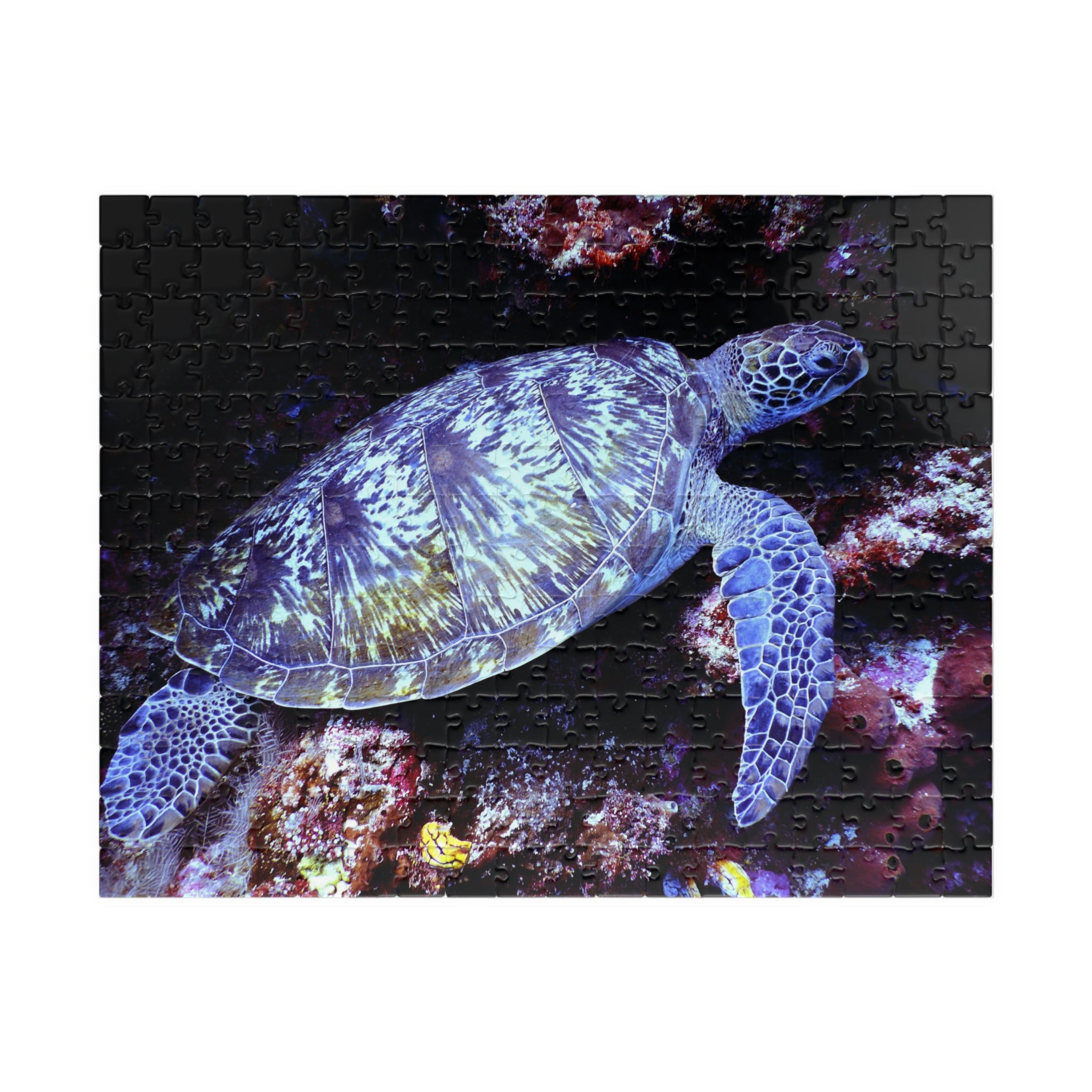 Puzzle tortue marine, grande tortue bleue sur fond sous-marin avec pièces noires