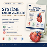 M3-03 — Système cardio-vasculaire : anatomie et physiologie