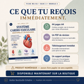 Fiche « Système cardio-vasculaire » : 44 pages A4, PDF de révision et téléchargement