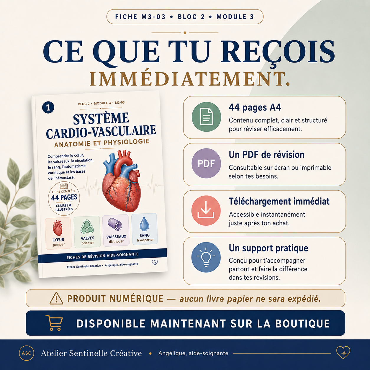 Fiche « Système cardio-vasculaire » : 44 pages A4, PDF de révision et téléchargement