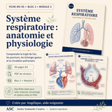 M3-05 — Système respiratoire : anatomie et physiologie
