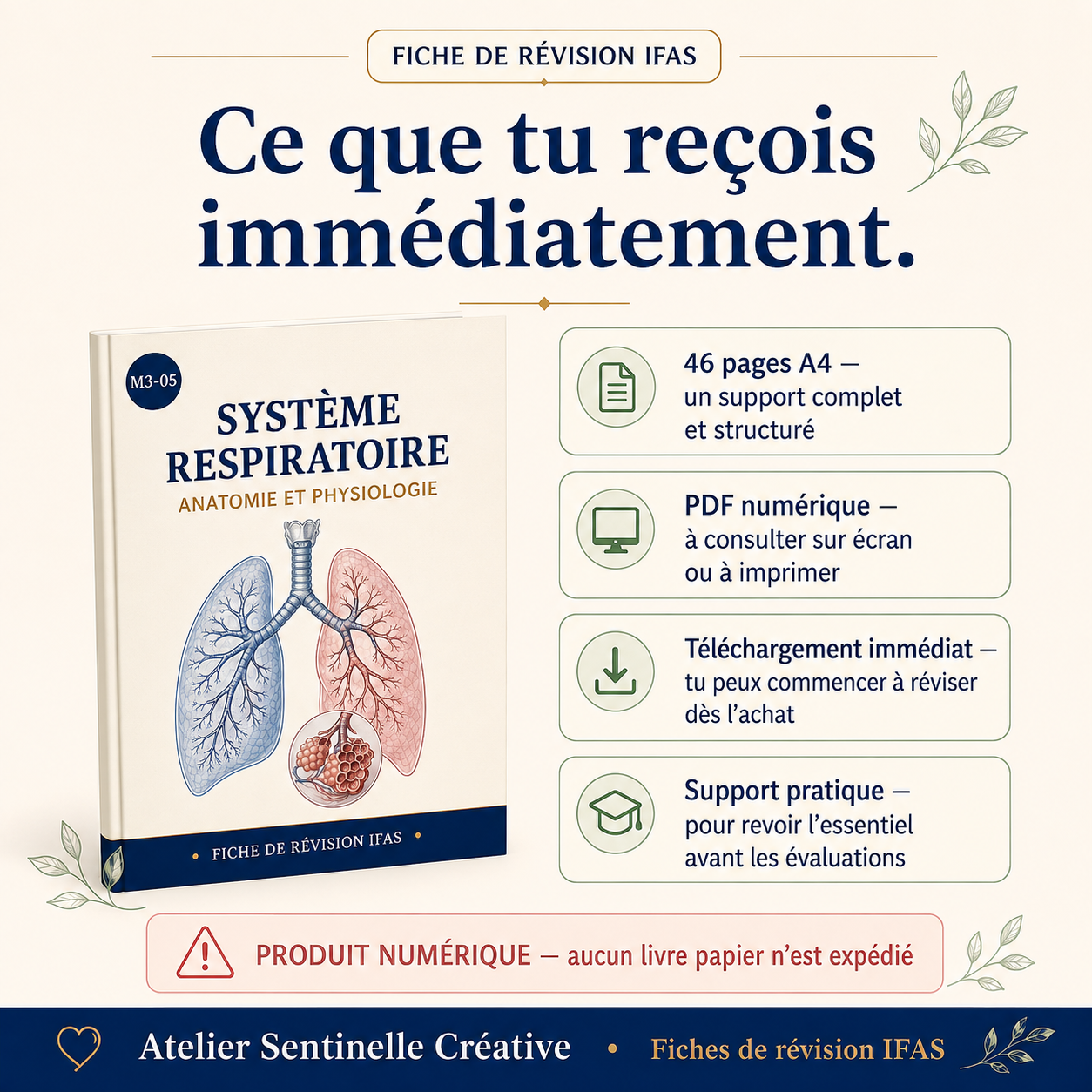 Fiche de révision IFAS : système respiratoire, aperçu des formats (PDF et support)
