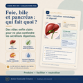 Fiche « Foie, bile et pancréas » : rôles et fonctions digestives avec schéma