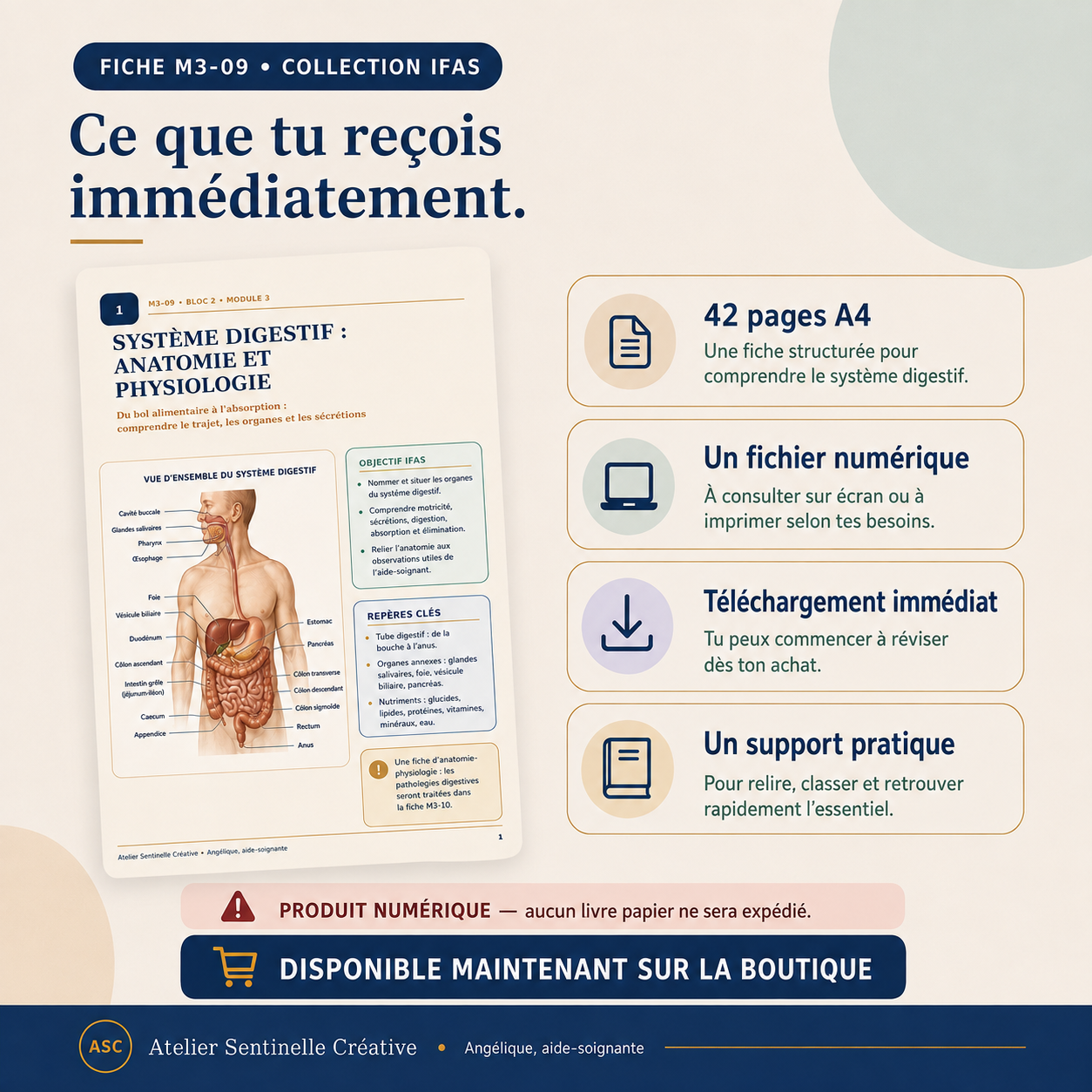 Fiche système digestif avec description du format : 42 pages A4 et fichier numérique