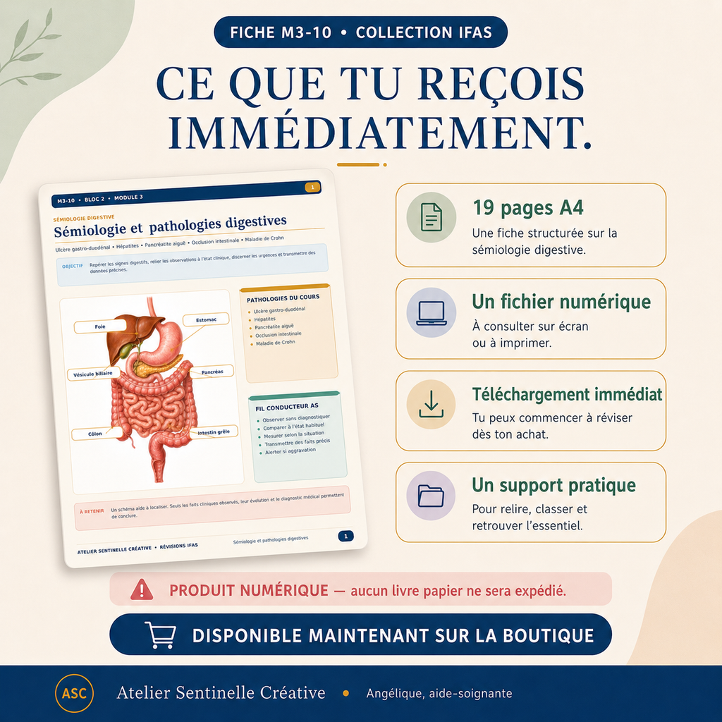 Fiche de révision et informations : 19 pages A4, fichier numérique, téléchargement immédiat