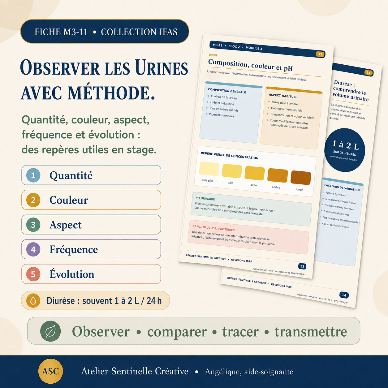 Fiche pédagogique sur l’observation des urines : quantité, couleur, aspect, fréquence et diurèse