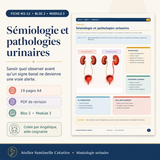 M3-12 — Sémiologie et pathologies urinaires