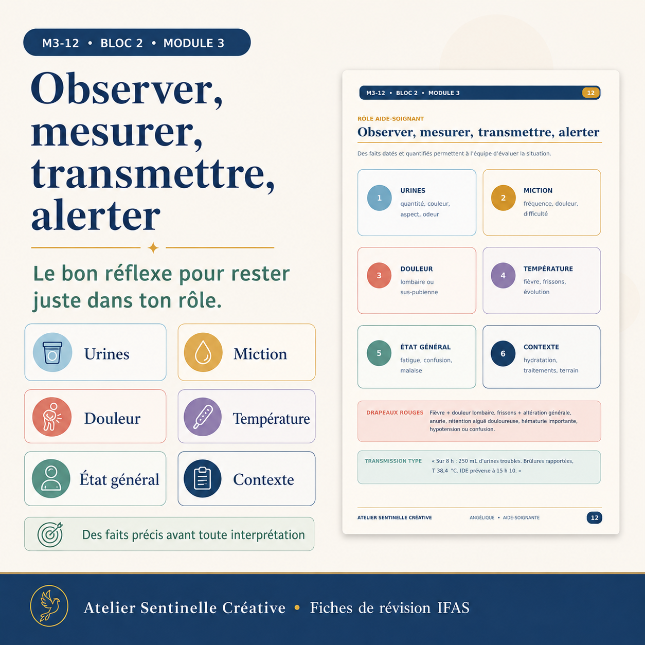 Fiche de révision : observer, mesurer, transmettre, alerter, avec étapes et catégories
