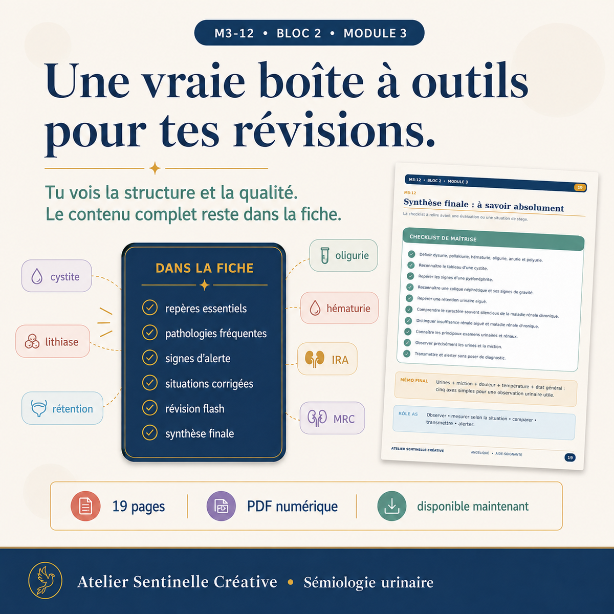 Aperçu 8 — M3-12 — Sémiologie et pathologies urinaires