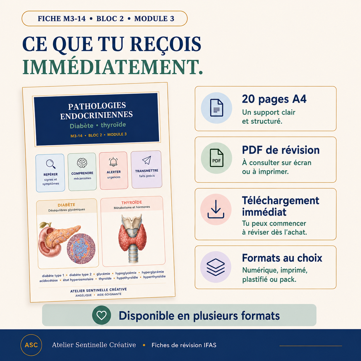 Fiche « Ce que tu reçois immédiatement » : 20 pages A4 et téléchargement de révision
