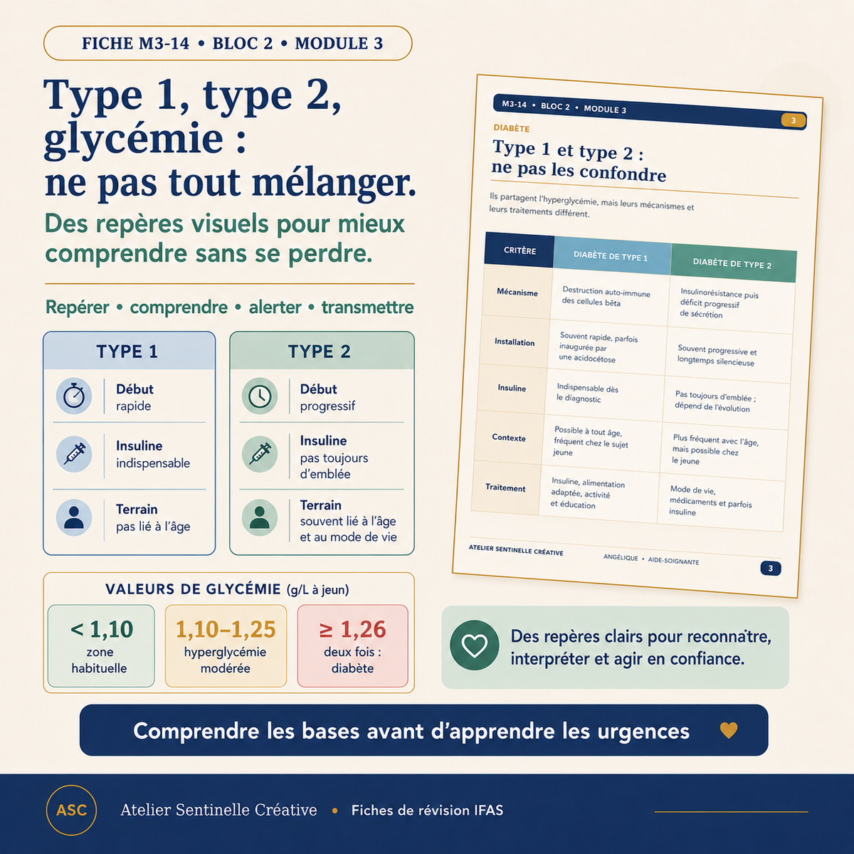 Aperçu 5 — M3-14 — Pathologies endocriniennes : diabète et troubles thyroïdiens
