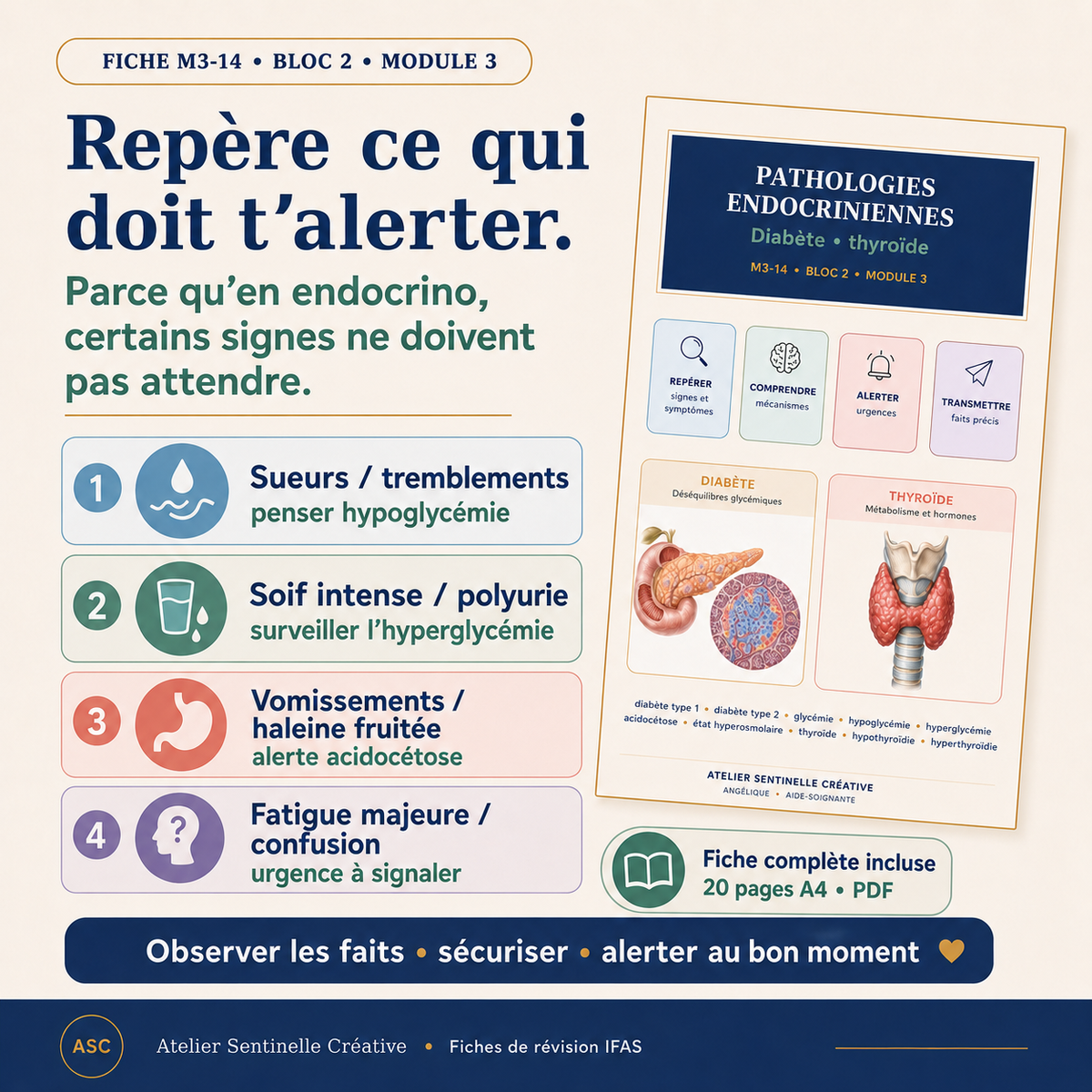 Aperçu 3 — M3-14 — Pathologies endocriniennes : diabète et troubles thyroïdiens