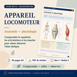 M3-15 — Appareil locomoteur et système musculo-squelettique