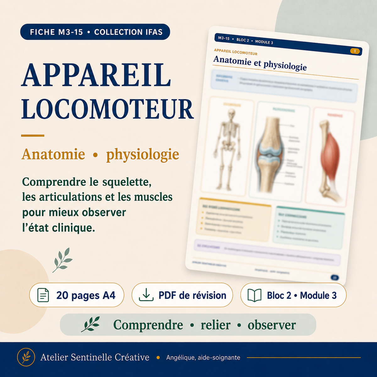Support IFAS M3-15 — Appareil locomoteur et système musculo-squelettique