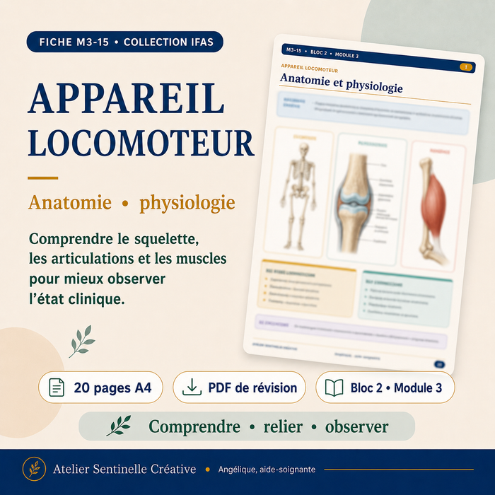 M3-15 — Appareil locomoteur et système musculo-squelettique
