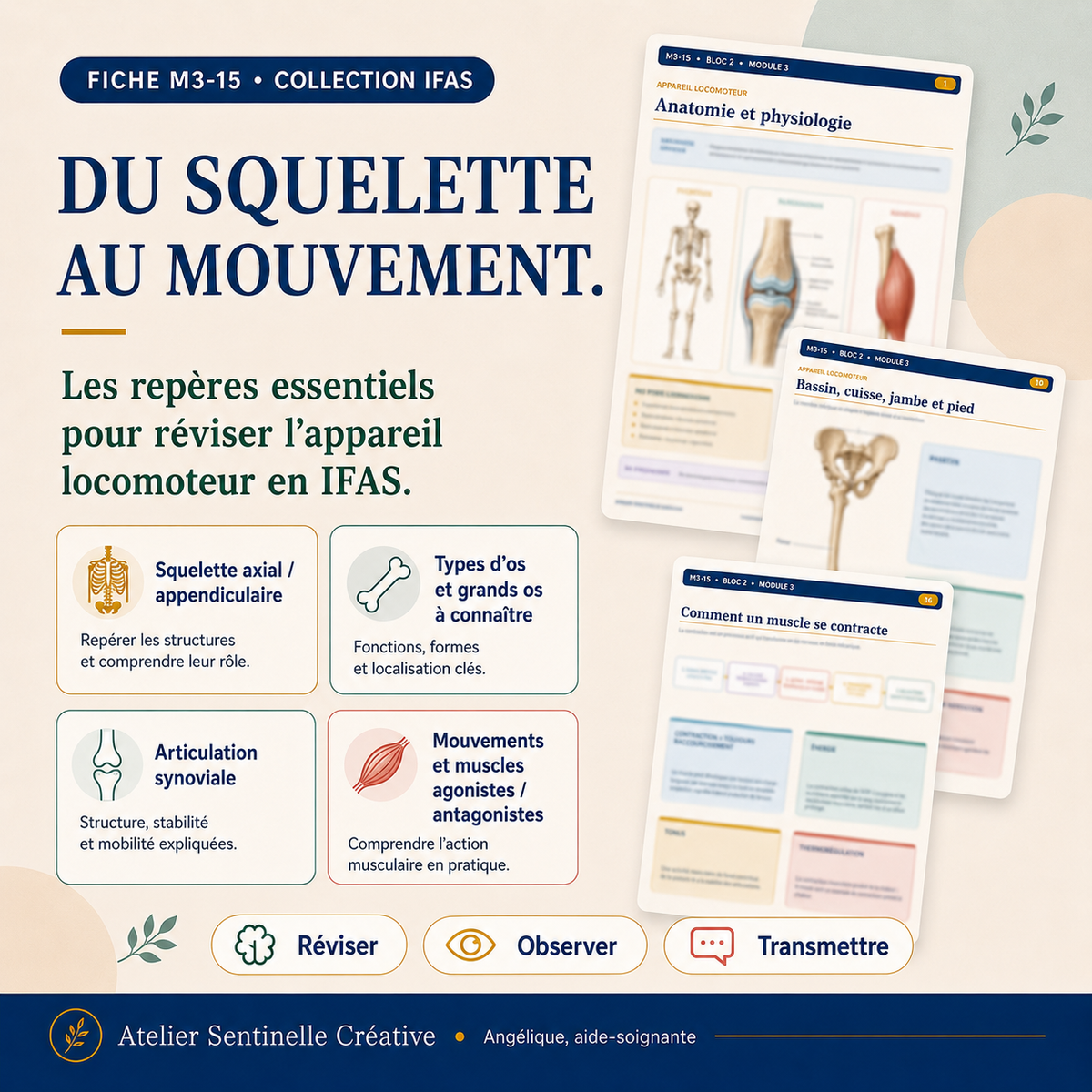 Aperçu 7 — M3-15 — Appareil locomoteur et système musculo-squelettique