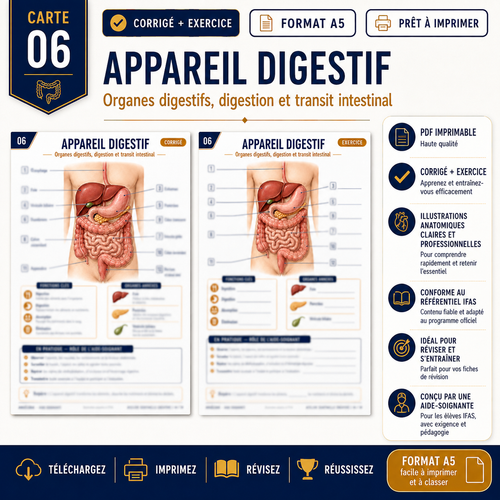 Carte anatomie IFAS — L’appareil digestif : organes digestifs, digestion et transit intestinal