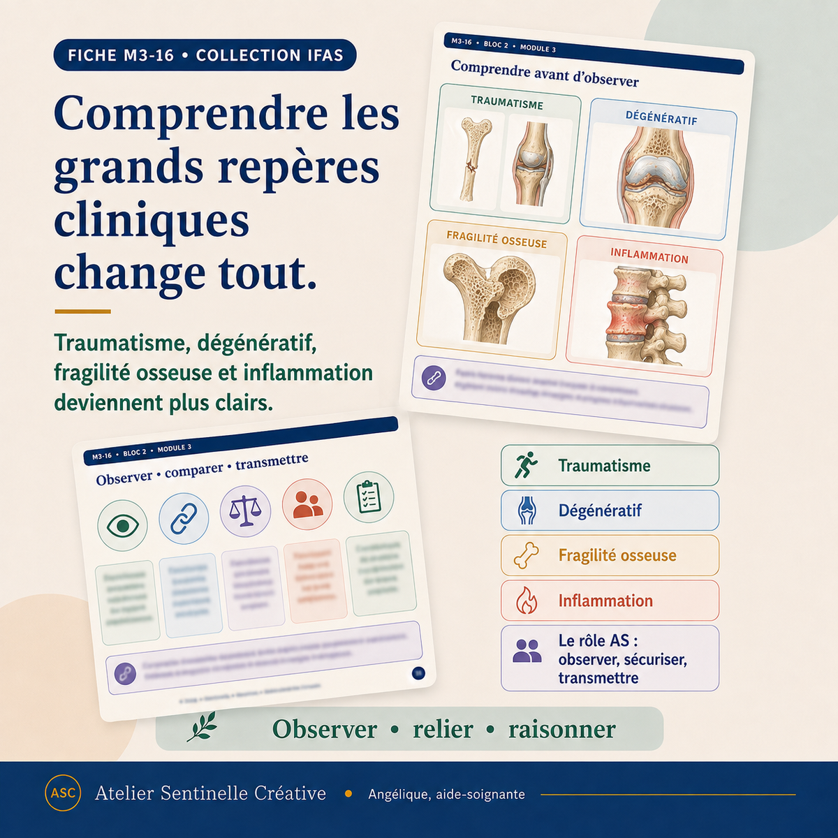 Aperçu 3 — M3-16 — Pathologies de l’appareil locomoteur