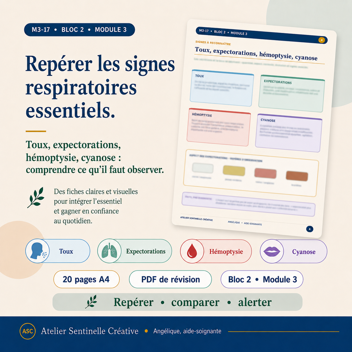 Aperçu 7 — M3-17 — Sémiologie et pathologies respiratoires