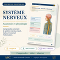 Support IFAS M3-18 — Système nerveux : anatomie et physiologie