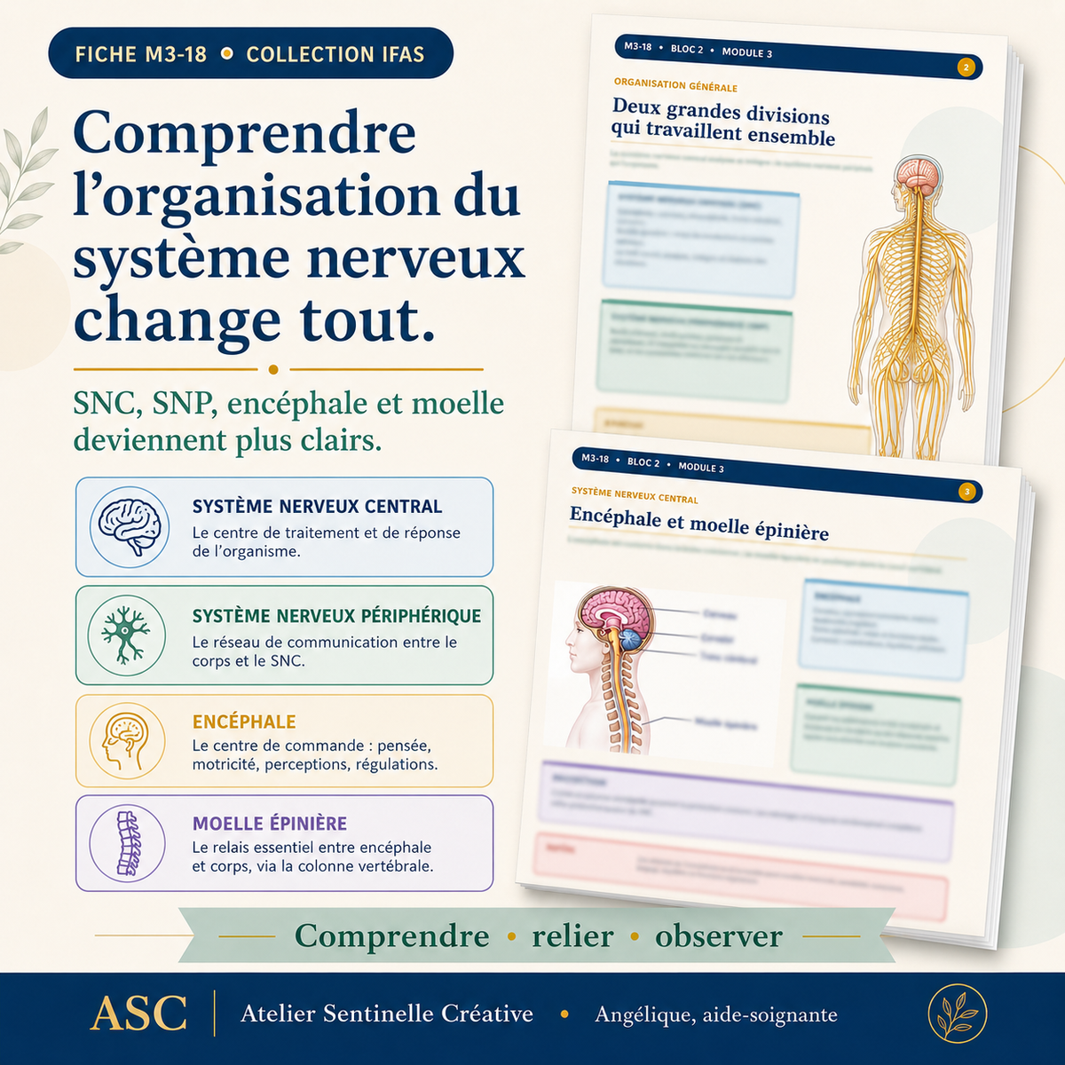 Aperçu 2 — M3-18 — Système nerveux : anatomie et physiologie