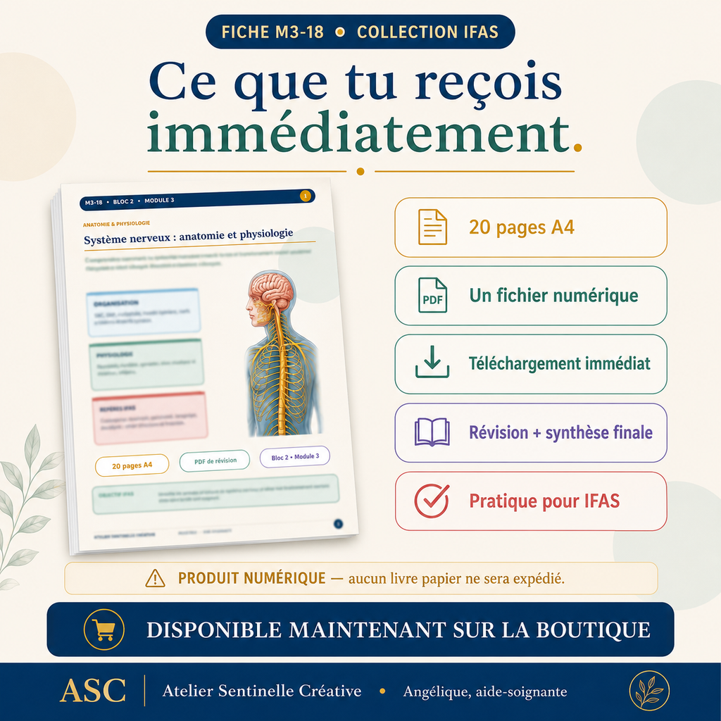 Aperçu 8 — M3-18 — Système nerveux : anatomie et physiologie