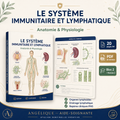 Support IFAS M3-22 — Système immunitaire et lymphatique