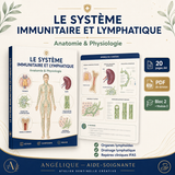 M3-22 — Système immunitaire et lymphatique