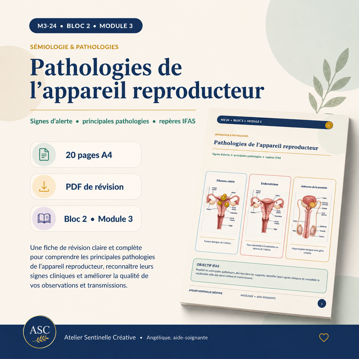 Support IFAS M3-24 — Pathologies de l’appareil reproducteur