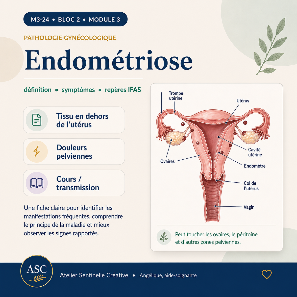 Aperçu 7 — M3-24 — Pathologies de l’appareil reproducteur