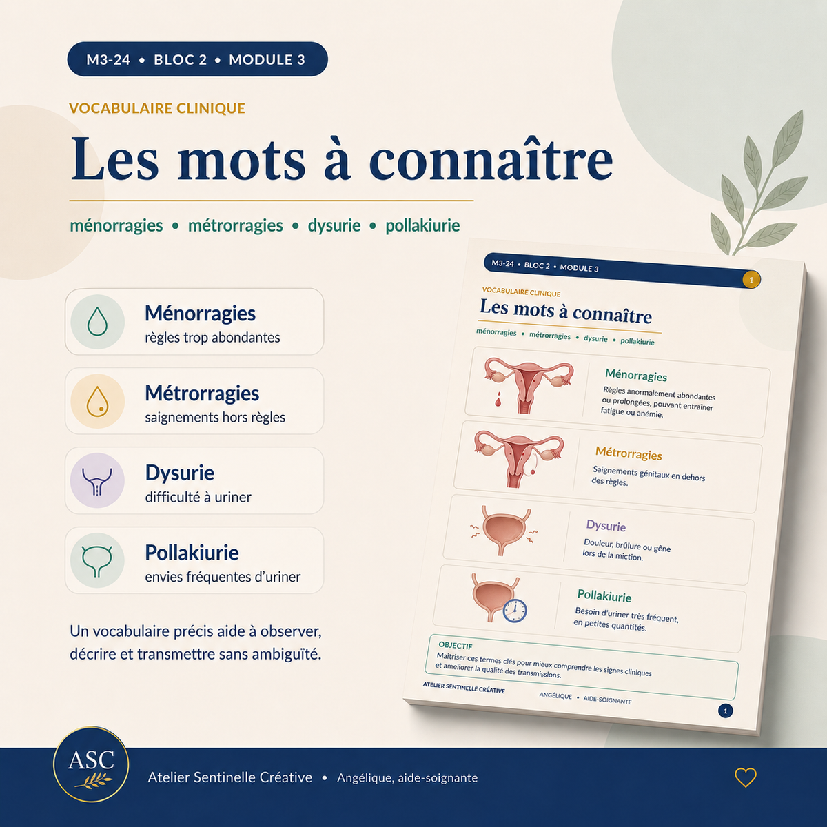 Aperçu 5 — M3-24 — Pathologies de l’appareil reproducteur