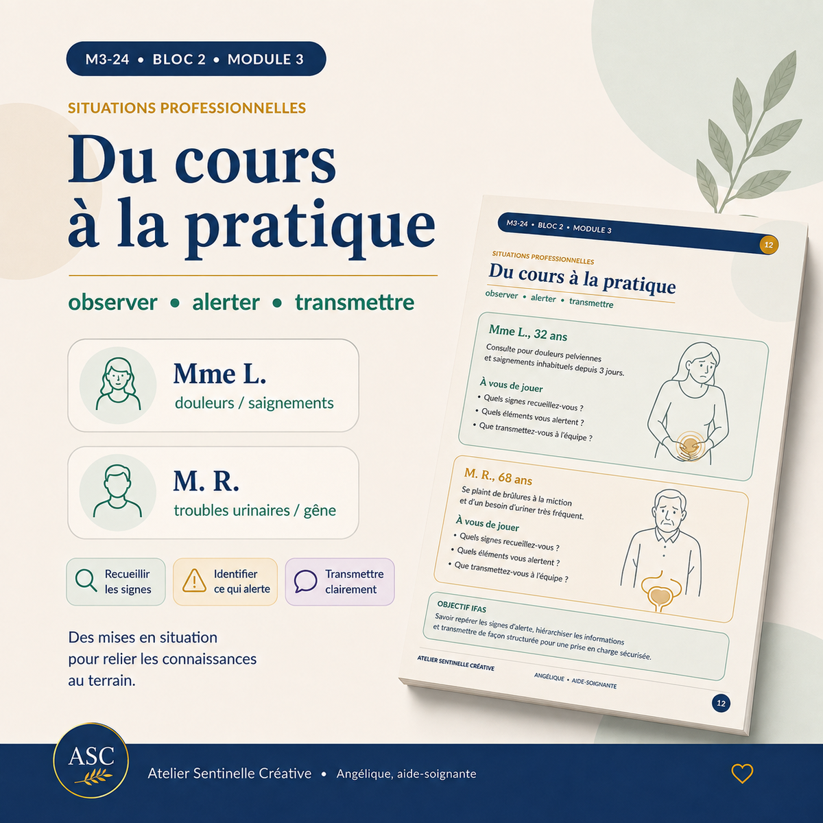 Aperçu 3 — M3-24 — Pathologies de l’appareil reproducteur