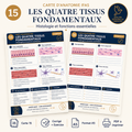 Carte anatomie IFAS — Les Quatre Tissus Fondamentaux