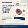 Fiche de révision IFAS «Organisation générale du corps humain», 38 pages A4, bloc 2 module 3
