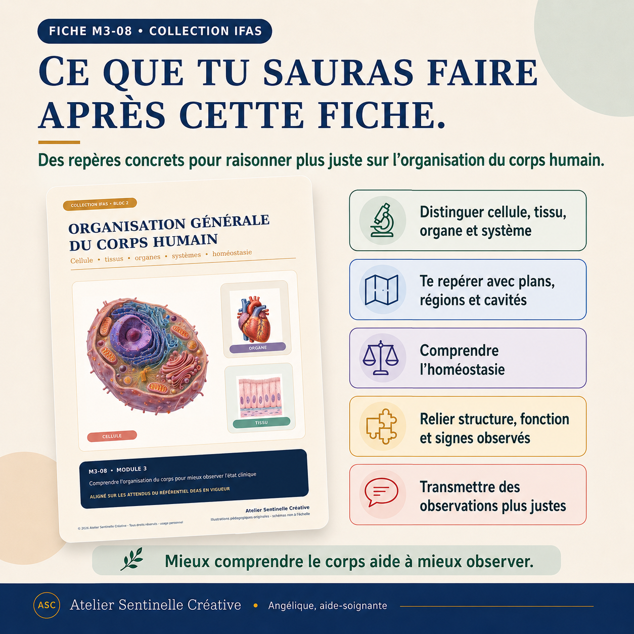 Fiche IFAS «Ce que tu sauras faire» : repères pour raisonner l’organisation du corps humain