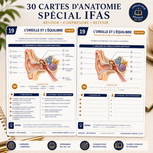 Carte anatomie IFAS — L'Oreille et l'Équilibre