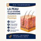 M3-20 — La peau et le système tégumentaire