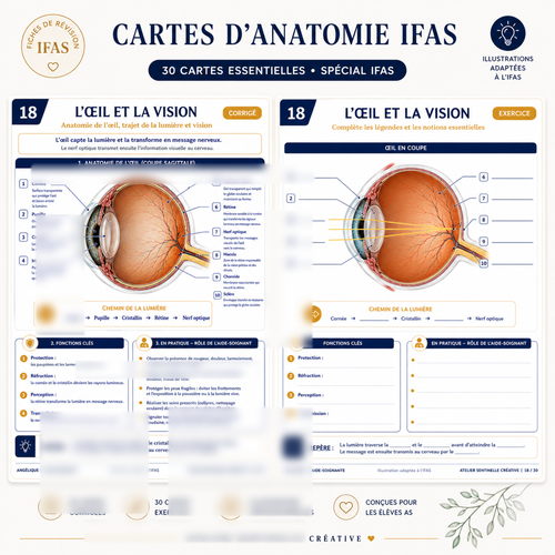 Carte anatomie IFAS — L'Œil et la Vision