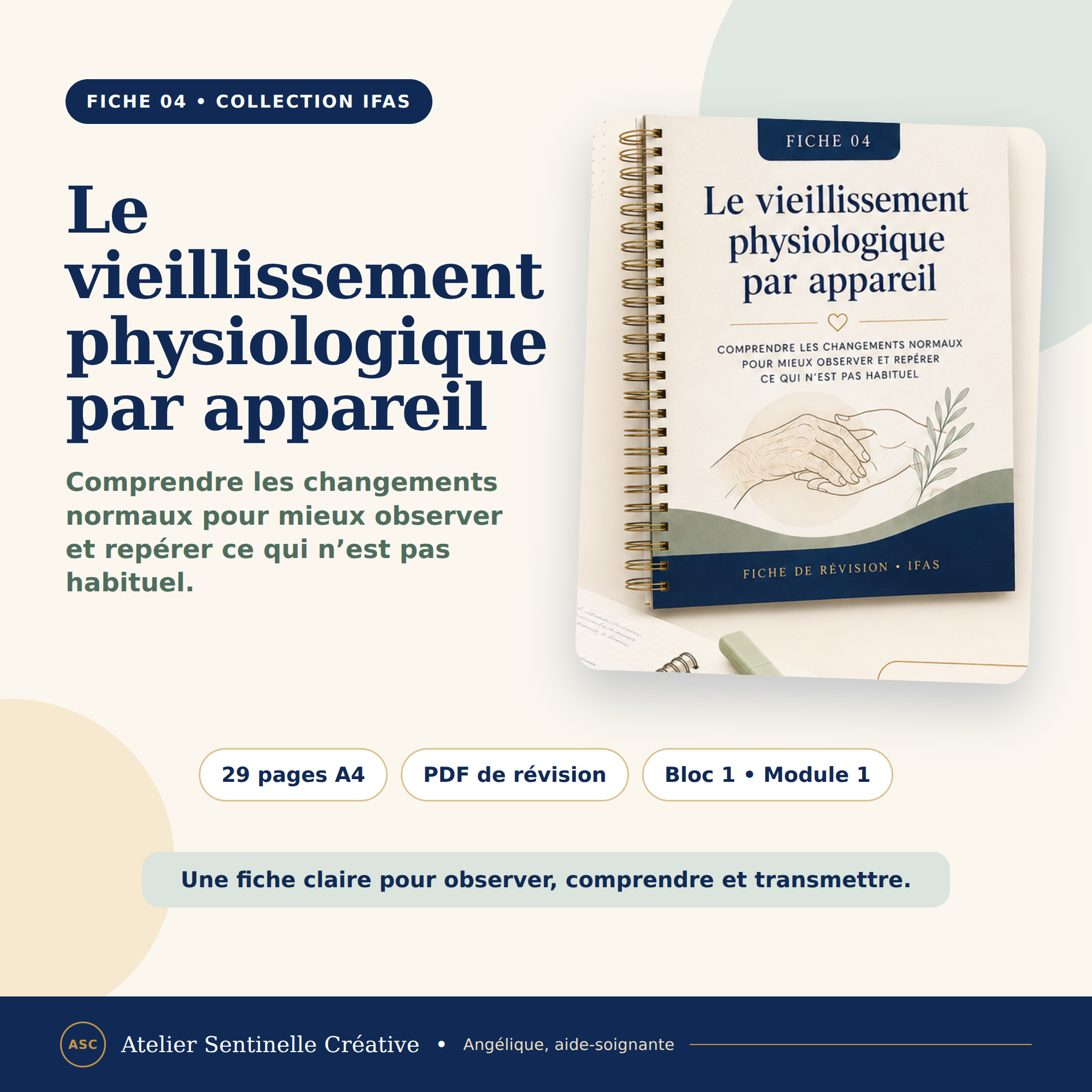 Fiche de révision IFAS, couverture bleue « Le vieillissement physiologique par appareil »