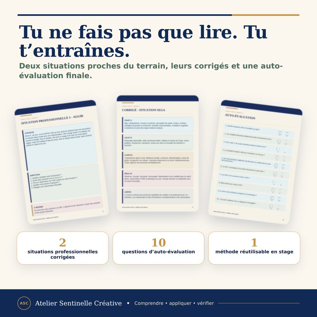Fiche AGGIR et SEGA avec trois situations corrigées et auto-évaluation en stage.