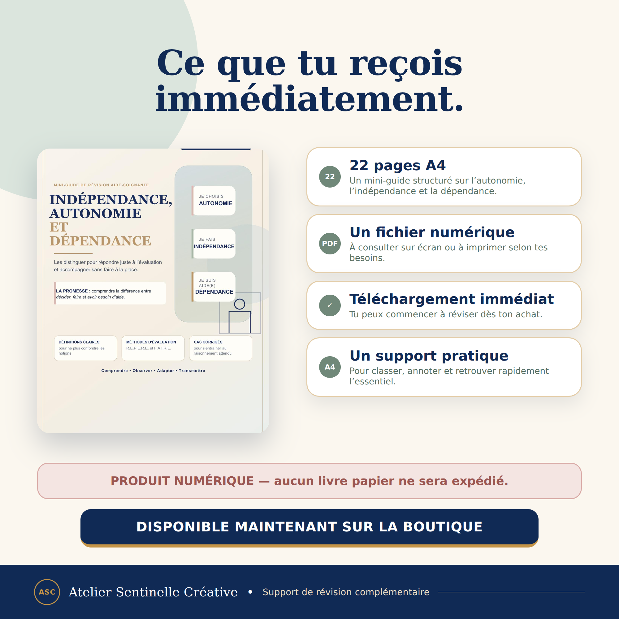Fiche numérique IFAS : téléchargement immédiat, 22 pages A4 et support pratique