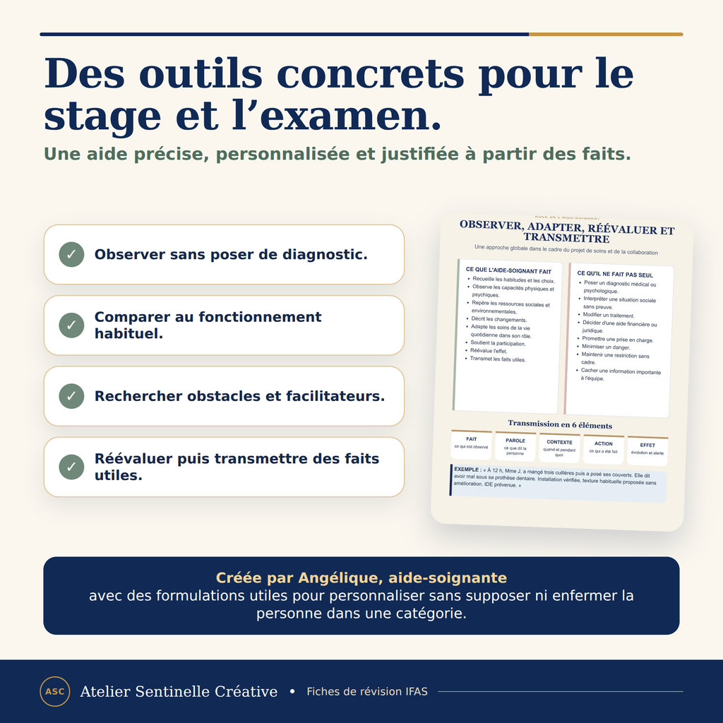Fiche de révision IFAS avec outils concrets : observer, comparer, rechercher et transmettre