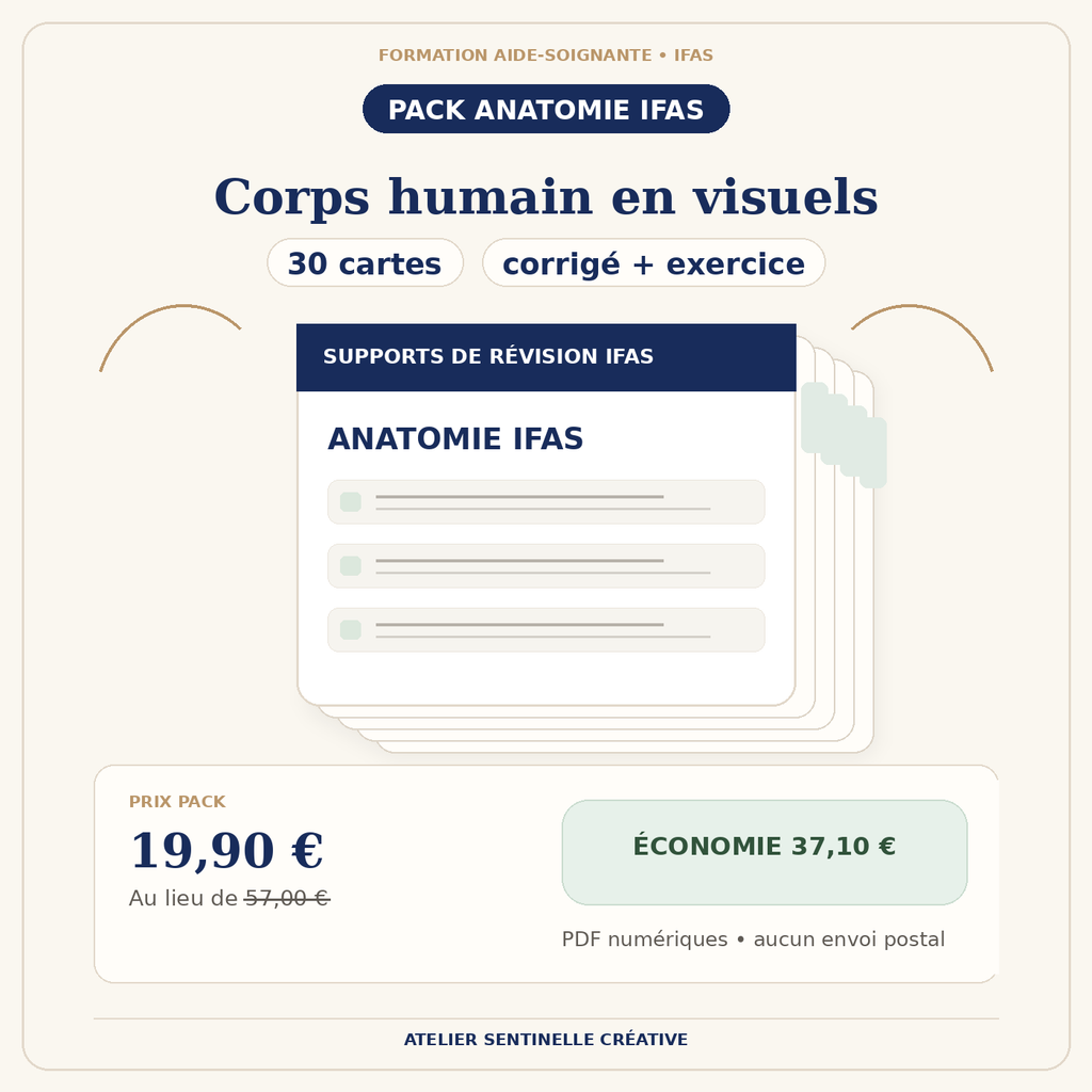 Pack de 30 cartes d’anatomie IFAS sur le corps humain, format visuel.