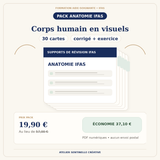 Pack 30 cartes anatomie IFAS — Corps humain en visuels